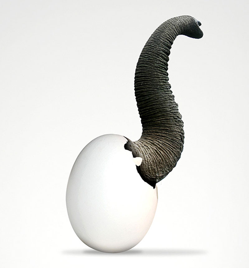 ADstudio | Advertising and Marketing