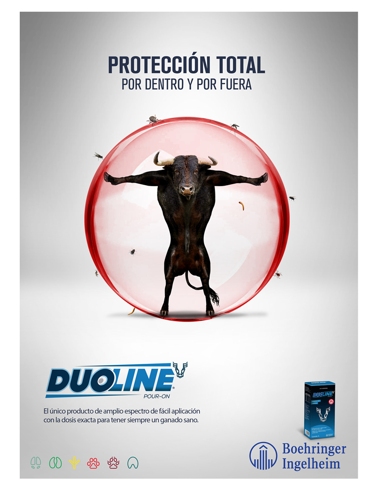ADstudio | Advertising and Marketing