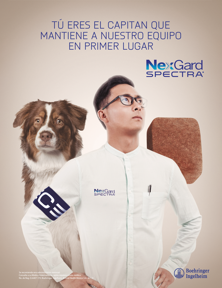 ADstudio | Advertising and Marketing
