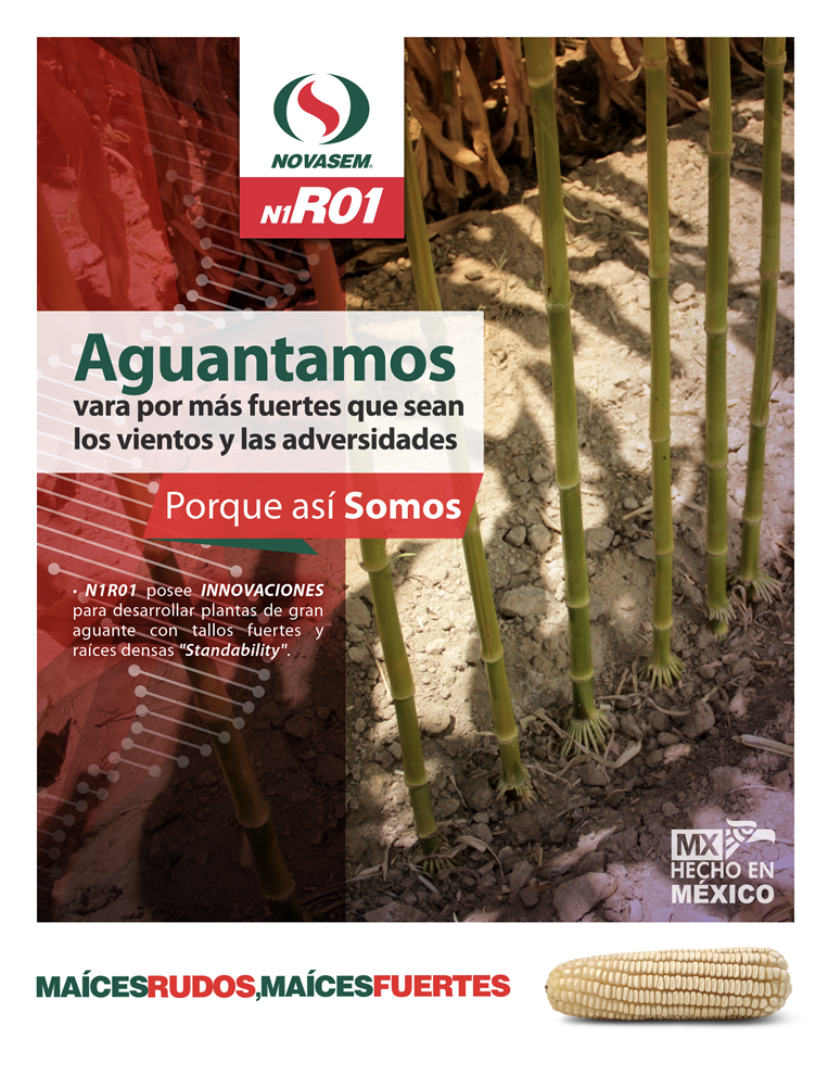 ADstudio | Advertising and Marketing