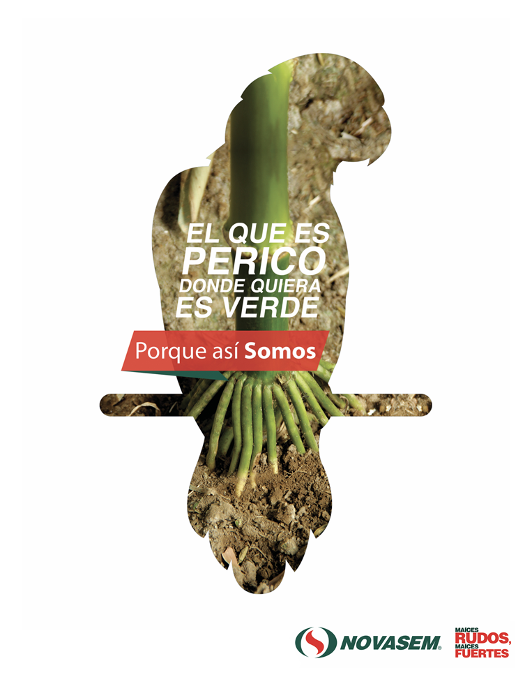 ADstudio | Advertising and Marketing