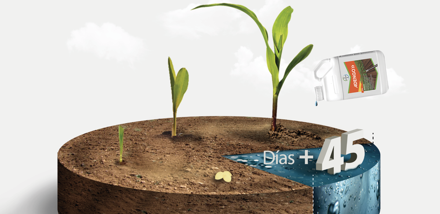 ADstudio | Advertising and Marketing